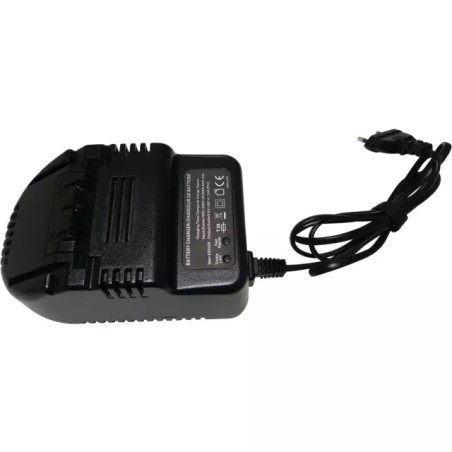 CHARGEUR DE BATTERIE POMPE A GRAISSE ELECTRIQ - ref. 1945295 | TP Agri