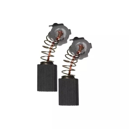 JEU DE CHARBONS RYOBI 6541173/6540753 - ref. 1938934 | TP Agri
