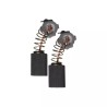 JEU DE CHARBONS RYOBI 6541173/6540753 - ref. 1938934 | TP Agri