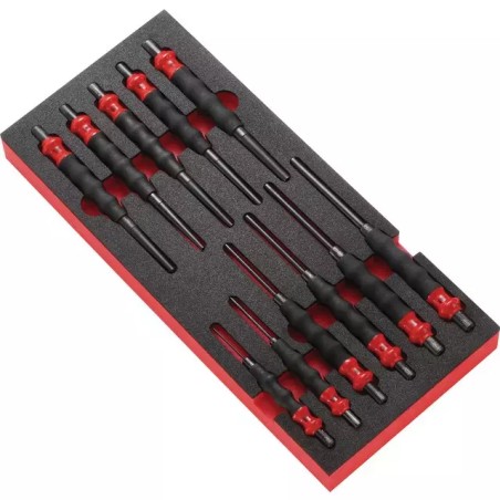 CHASSES GOUPILLES ET CLOUS AVEC POIGNEE PROTEC - ref. 263362 | TP Agri