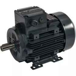 MOTEUR ELECTRIQUE TRIPHASE 230/400 V 1500TR - ref. 40517221 | TP Agri