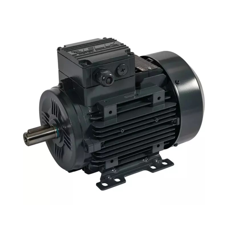 MOTEUR ELECTRIQUE TRIPHASE 230/400 V 1500TR - ref. 40517221 | TP Agri