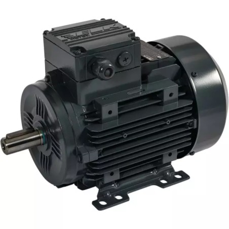 MOTEUR ELECTRIQUE TRIPHASE 230/400 V 1500TR - ref. 40517221 | TP Agri