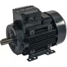 MOTEUR ELECTRIQUE TRIPHASE 230/400 V 1500TR - ref. 40517221 | TP Agri