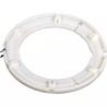 PALIER DE GAINE 6/S6-7-8 80° 50° (2550G0024R02 - ref. 253138 | TP Agri