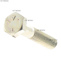 VIS 1/4 - 28 X 1-1/4 - ref. 310022 | TP Agri