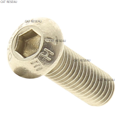 VIS 1/4 x 20 L 1' - ref. 310024 | TP Agri