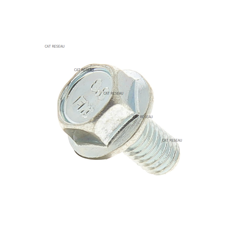 VIS M6/100 x 12mm - ref. 320002 | TP Agri