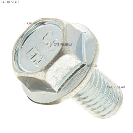 VIS M6/100 x 12mm - ref. 320002 | TP Agri