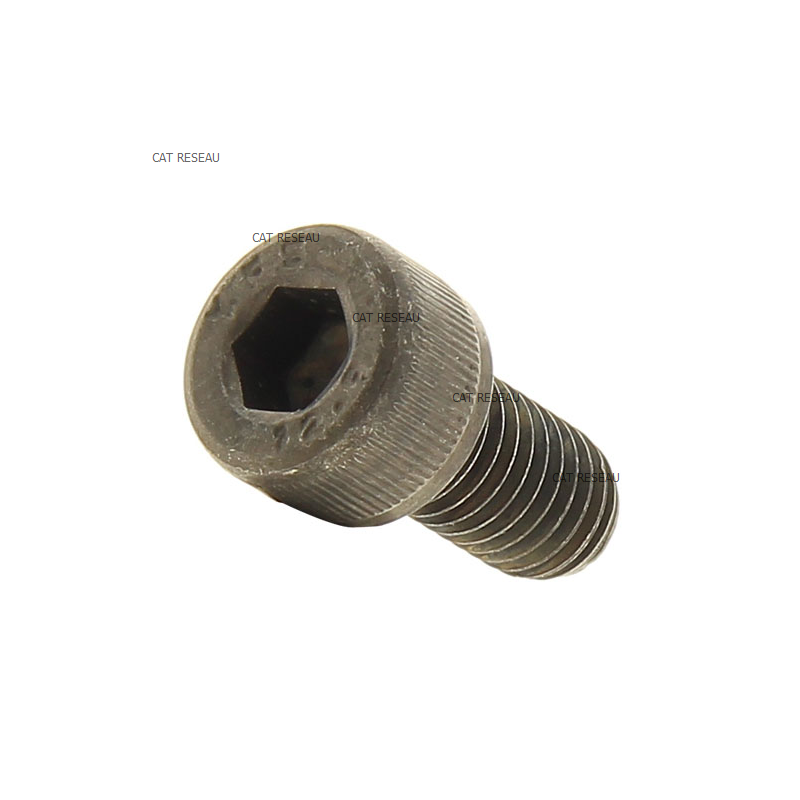 VIS DE COUPLEUR MOTEUR PCW3000 - ref. 320007 | TP Agri