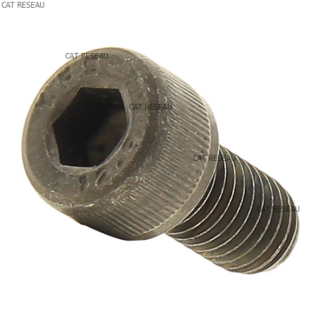 VIS DE COUPLEUR MOTEUR PCW3000 - ref. 320007 | TP Agri