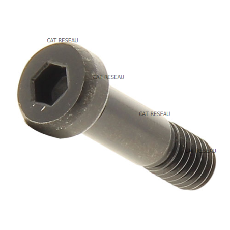 VIS SUPPORT DE LAME M6-1,0 X 23 - BLACK - ref. 320014 | TP Agri