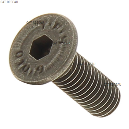 VIS FHCS M5-0.8 X 15mm - BLACK - ref. 320036 | TP Agri