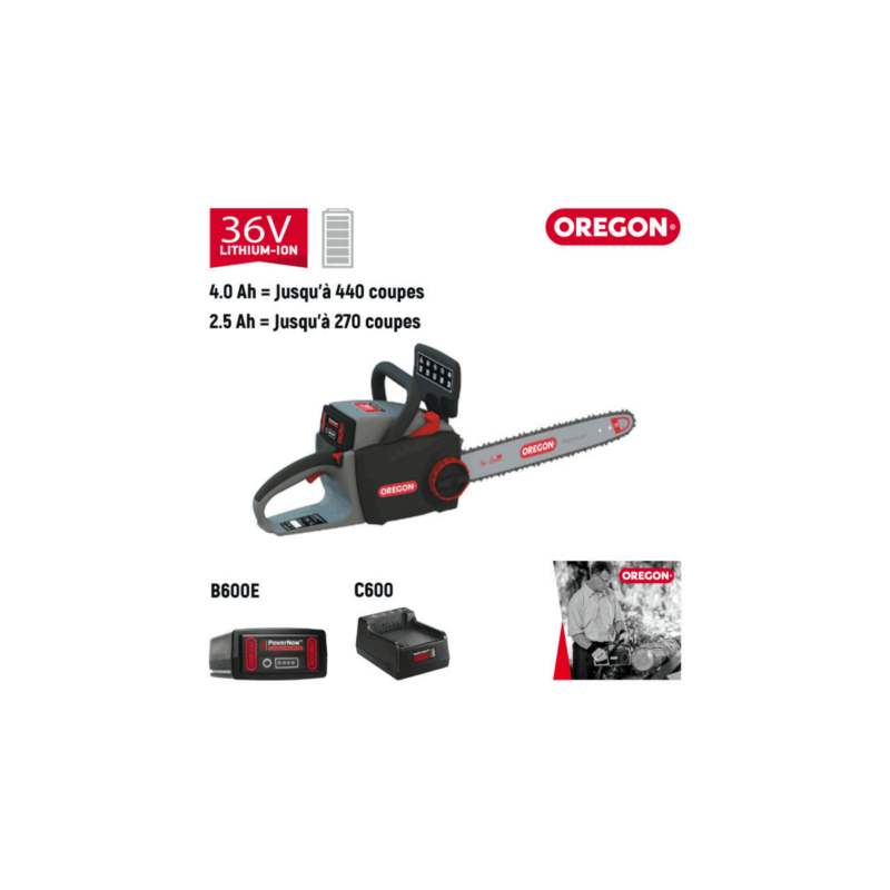 TRONCONNEUSE CS300 BAT 4,0AH CHARG STD - ref. 573016 | TP Agri
