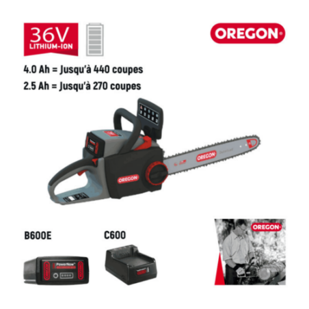 TRONCONNEUSE CS300 BAT 4,0AH CHARG STD - ref. 573016 | TP Agri