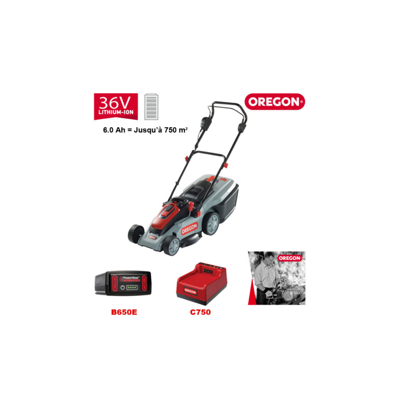 TONDEUSE LM300 6,0 AH ET CHARGEUR RAPIDE - ref. 586734 | TP Agri