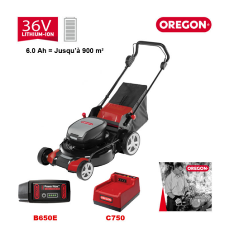 TONDEUSE LM400 BAT 6Ah + CHARGEUR RAP - ref. 591074 | TP Agri