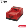 CHARGEUR BATTERIE RAPIDE C750 - ref. 594079 | TP Agri