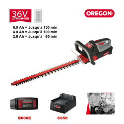 HT275 4.0 Ah + CHARGEUR STANDARD - ref. 615581 | TP Agri