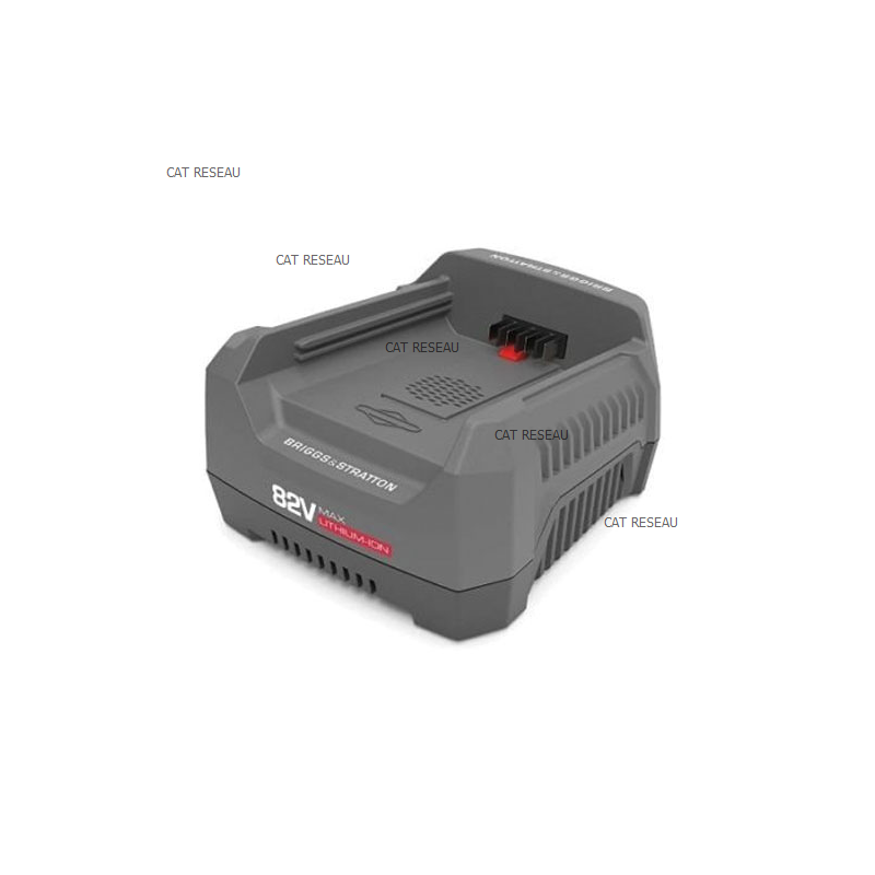 CHARGEUR BATTERIE 220V B&S, CE - ref. 1760264 | TP Agri