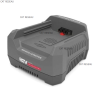 CHARGEUR BATTERIE 220V B&S, CE - ref. 1760264 | TP Agri