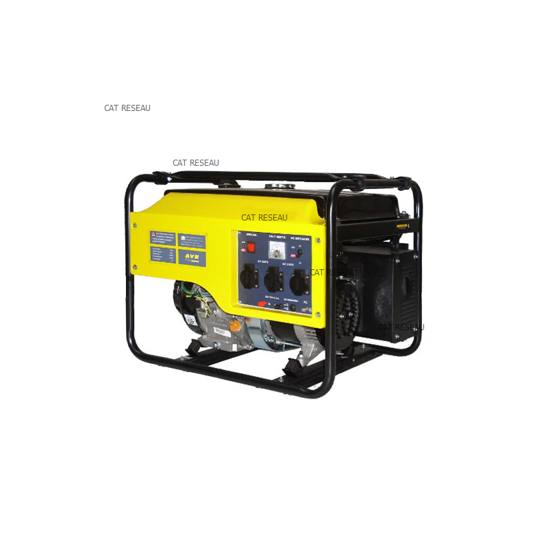 GROUPE ELECTROGENE 2,5kW - ref. LC3000A00332 | TP Agri