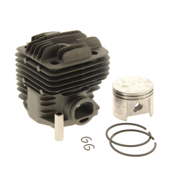 CYLINDRE+PISTON D 49 - ref. 42230201200 | TP Agri
