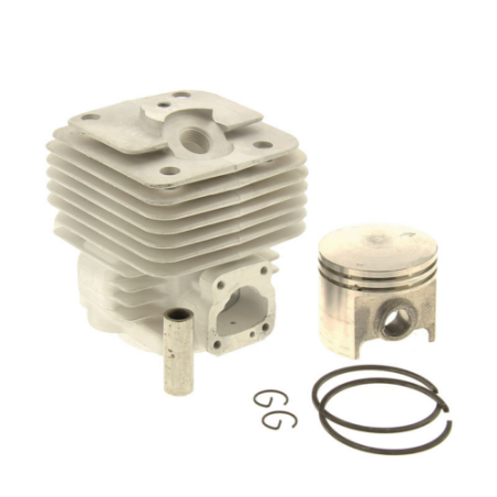 CYLINDRE+PISTON DIAM.49MM - ref. 42010201200 | TP Agri