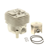 CYLINDRE+PISTON DIAM.49MM - ref. 42010201200 | TP Agri