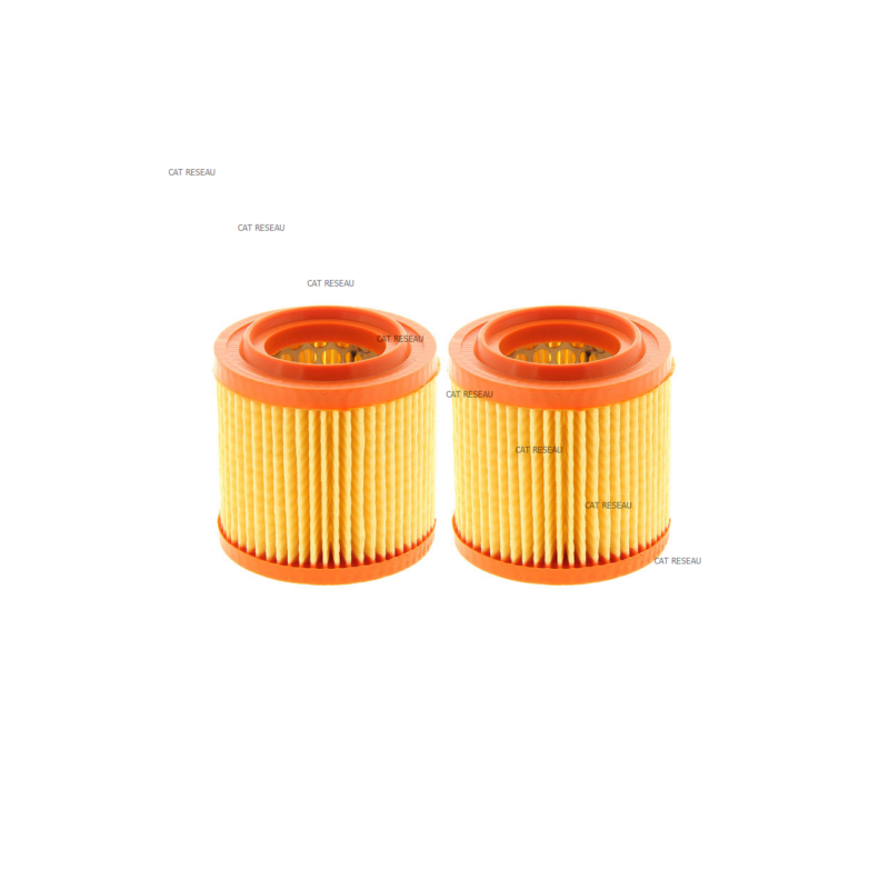 FILTRE LN0 AS MOTOR - ref. 4221 | TP Agri