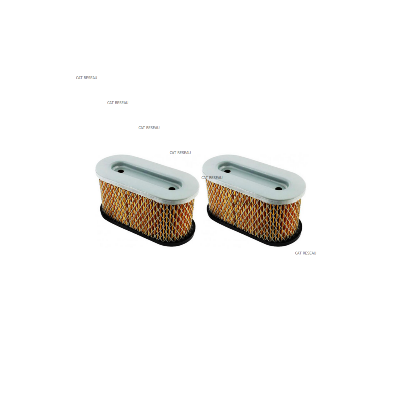 CARTOUCHE FILTRE AIR - ref. 491950 | TP Agri