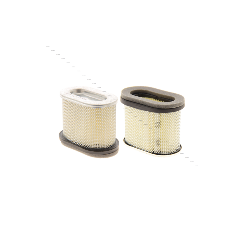 FILTRE A AIR - ref. 692446 | TP Agri