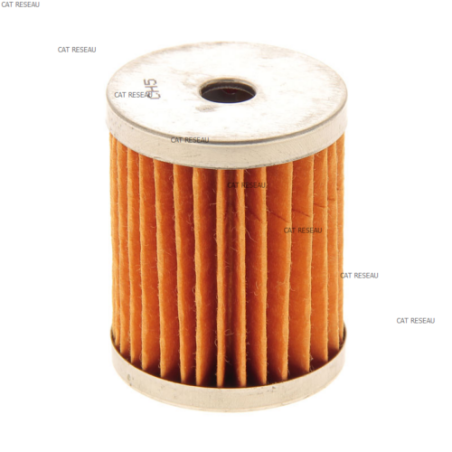 FILTRE A GASOIL - ref. 2175032 | TP Agri