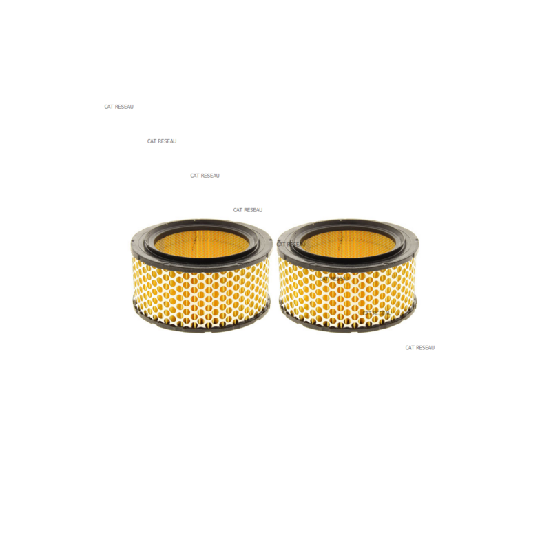 FILTRE A AIR - ref. 2175050 | TP Agri