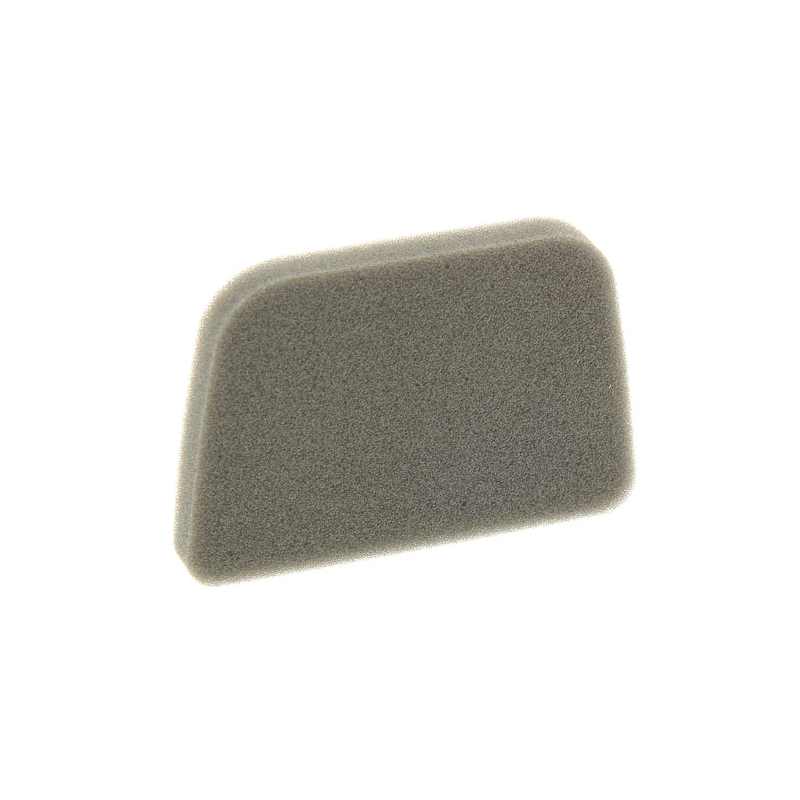FILTRE MOUSSE - ref. 4431413 | TP Agri