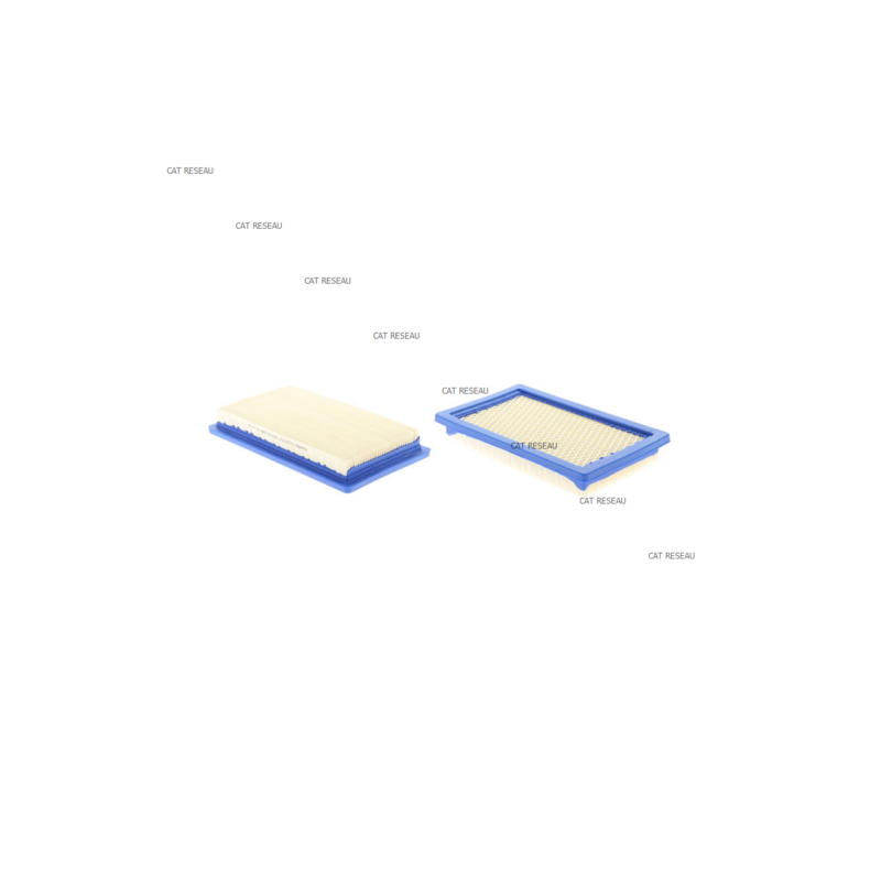 FILTRE A AIR FH430V - ref. 110137017 | TP Agri