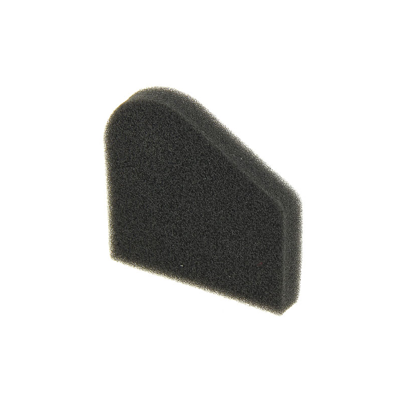 AIR FILTER SPONGE - ref. 1188037440 | TP Agri