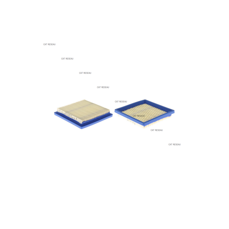 FILTRE A AIR (BA004103) - ref. 399877S | TP Agri