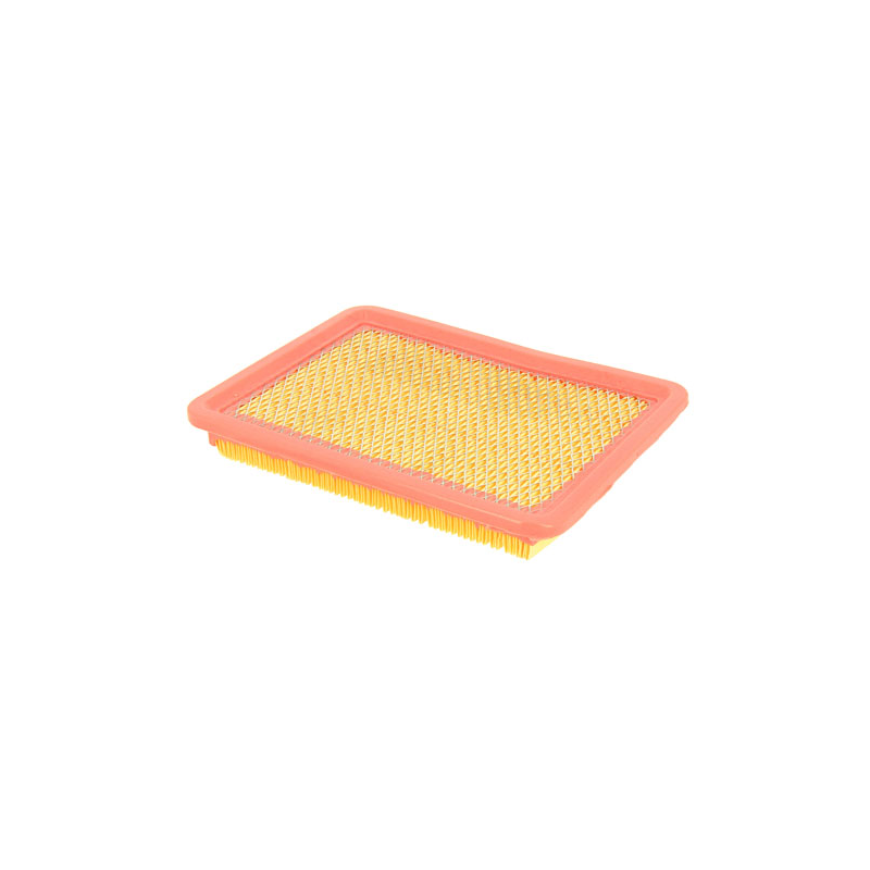 FILTRE A AIR 1P65FA 1P70FA - ref. LC1801302150001 | TP Agri