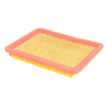FILTRE A AIR 1P65FA 1P70FA - ref. LC1801302150001 | TP Agri