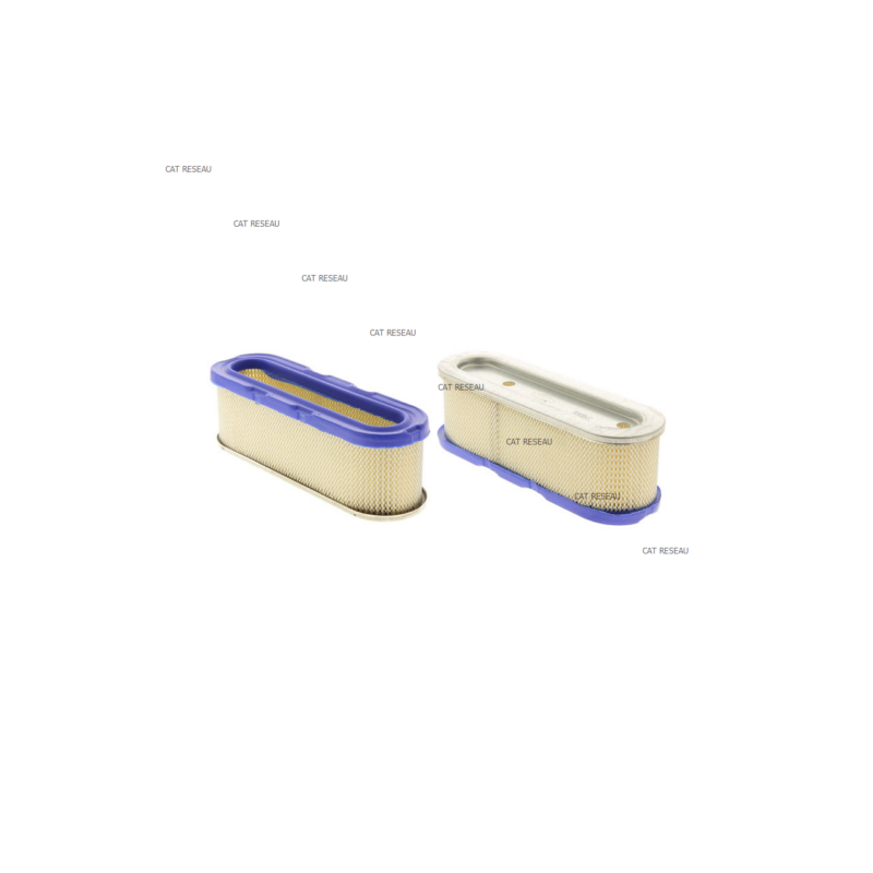 FILTRE A AIR - (BA004138) - (PF271962S) - ref. 399806S | TP Agri