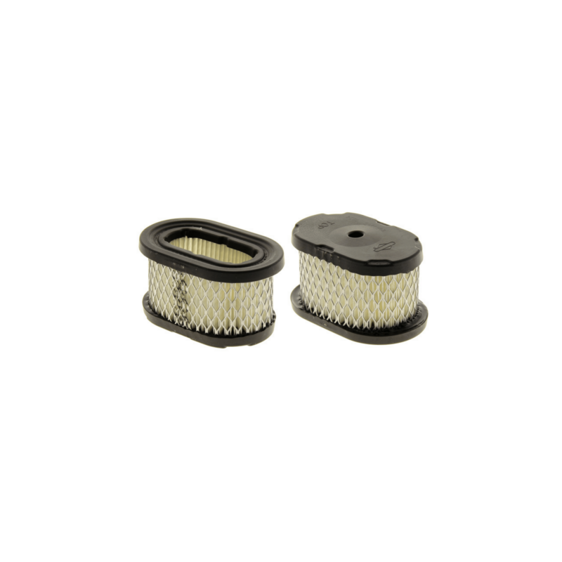 FILTRE A AIR (BA004197) - ref. 497725S | TP Agri