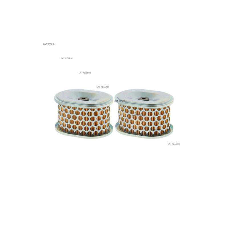FILTER A AIR SH265 - ref. 1808304S | TP Agri