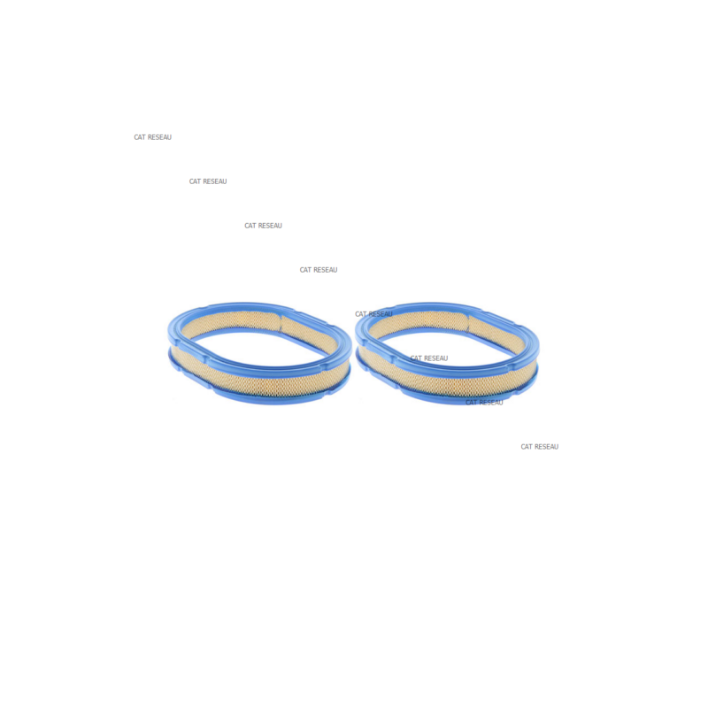 FILTRE A AIR - ref. 2808303S | TP Agri