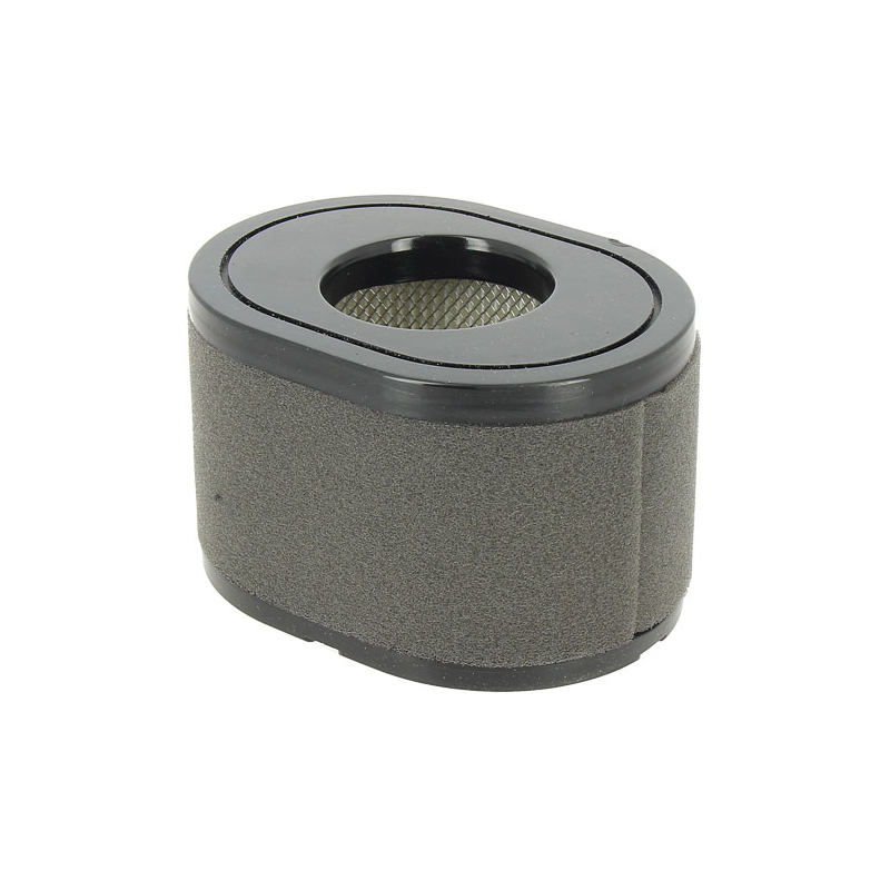 FILTRE A AIR LC2P77F LC2P80F LCP282F - ref. LC180100109 | TP Agri
