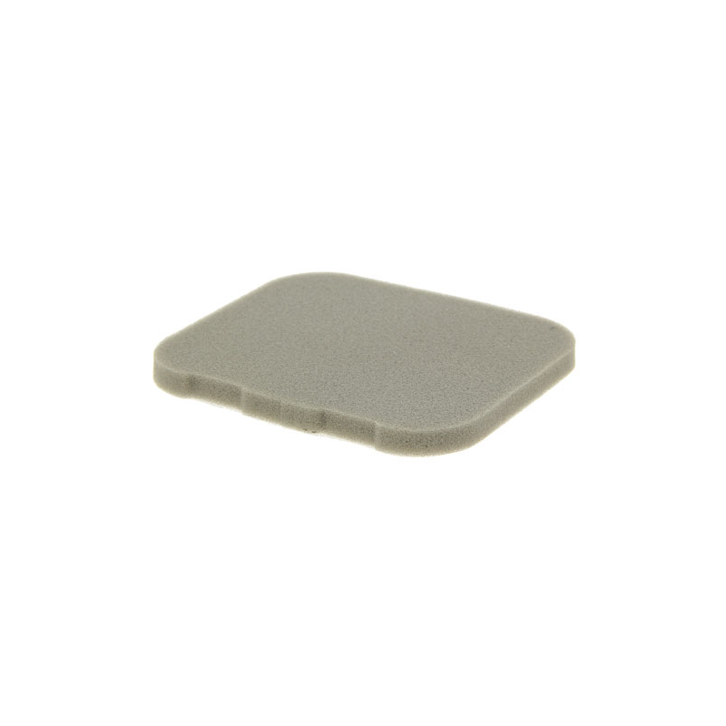 FILTRE MOUSSE EVC200 - ref. 00041241500 | TP Agri