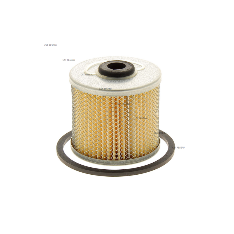 FILTRE A GASOIL N-O RUGGERINI - ref. D7810 | TP Agri
