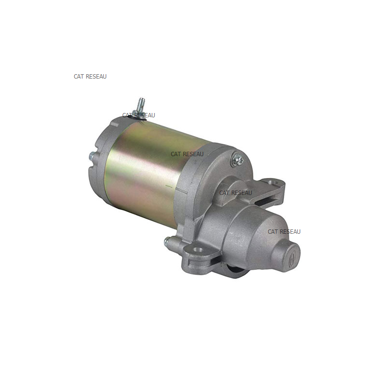 DEMARREUR ELECTRIQUE - ref. 75112207 | TP Agri