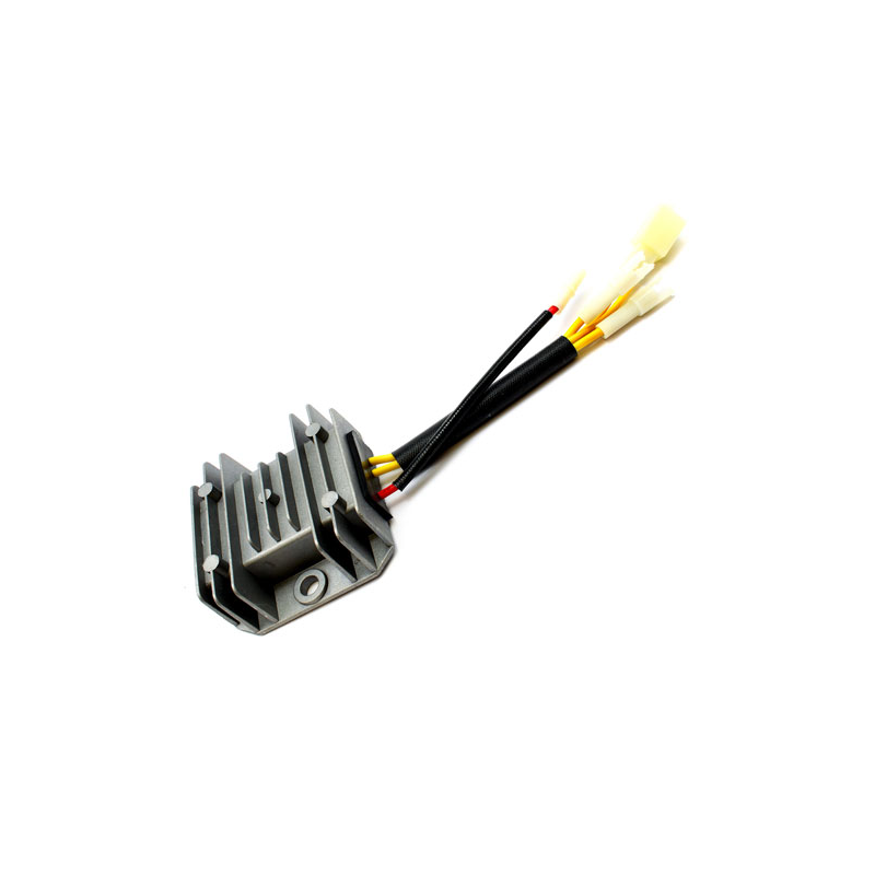 REGULATEUR DE CHARGE HS413AE - ref. LC2708802990002 | TP Agri