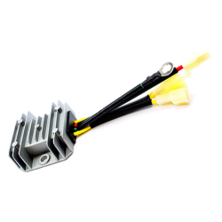 REGULATEUR DE CHARGE 2P73F HV586AE - ref. LC2708803100001 | TP Agri